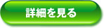 詳細をみる