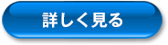 詳しく見る